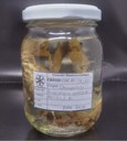 CRU300 - Persephona punctata - Siri-aranha