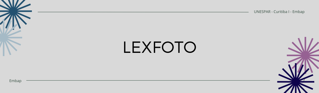 L.ex.Foto