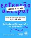 Pibex.jpeg