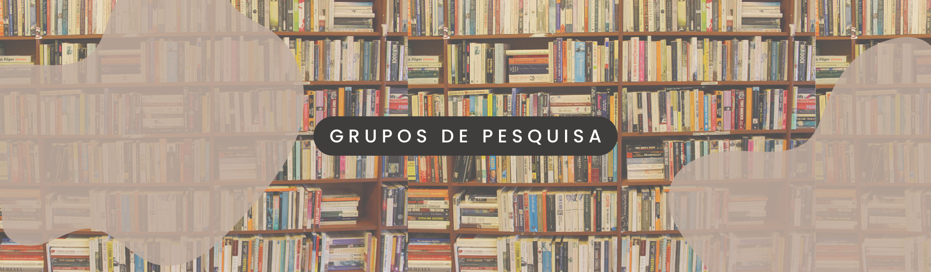 bannerPPGMUSgrupospesquisa.png